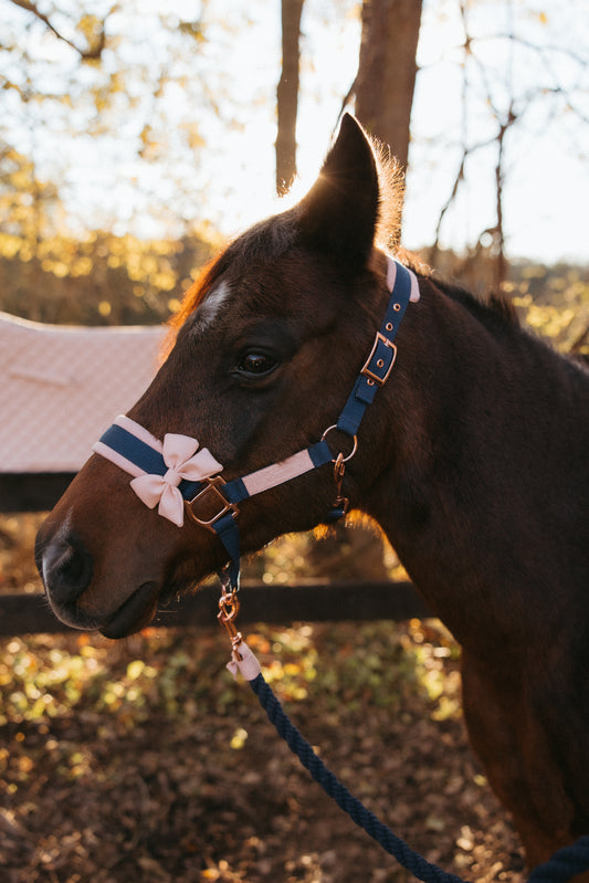 MY FIRST PONY HEAD COLLAR